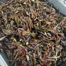 해성중국식품 연변반찬 가지말랭이볶음 반찬 500g, 1개