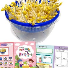 큰 그릇 콩나물 키우기 관찰기록지포함 집에서콩나물키우기, 1