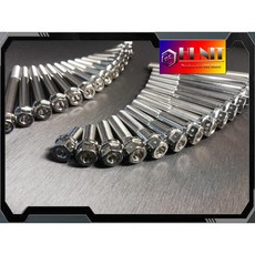 【瘋螺絲】HI-NIT不銹鋼/白鐵 M8 1.25牙 各長度螺絲 CNC內外六角螺絲 另有燒鈦鍍鈦彩鈦, 1個, M8*100 SL