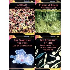Cells and Life 영어 생명과학 세포 생물 논픽션 초등 고학년 중학생 (4종 택1), D