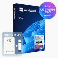 마이크로소프트 Windows 11 Pro FPP 한글, 단품