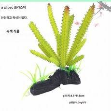 모의 조경식물 육거북 도마뱀 카멜레온 개구리 파충함 물거북 항아리 모의 수초 다육식물, QL2022, 1개