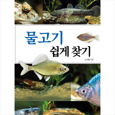 물고기 쉽게 찾기, 노세윤