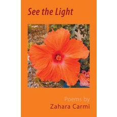 (영문도서) See the Light Paperback, Blackbird Books, English, 9781610530521