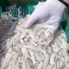 국산 냉동 호래기 호레기 1kg, 1개, 500g