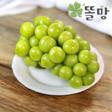 똘망 당도선별 샤인머스켓 프리미엄 산지직송, 1개, 2kg(정품,2-4수)