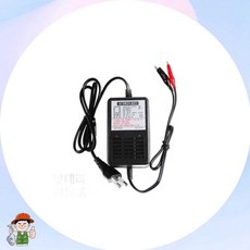 이오전자 배터리 자동 충전기 6V 2A 관리용 픽앤코401