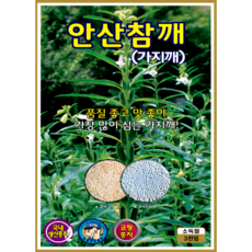 KS종묘 안산참깨 가지깨 씨앗 3000립 국내생산 코팅종자 ks, 1개 1개