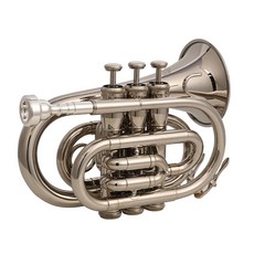 라이만 플랫 시험 가 초보자 골드 성인 금색 초보 입문용 금관 연주 호른 악기, 은색, 1개