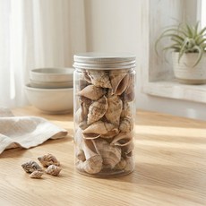 미니 조개 소라 보틀 여름 장식 소품 인테리어 diy 조개 소라, 14번