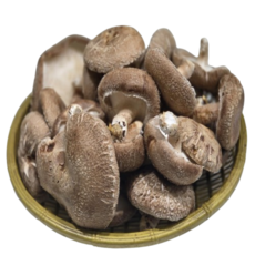 못생겨도 맛있는 표고버섯, 1개, 1kg