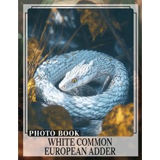 (영문도서) White Common European Adder Photo Book: Explore The Fascinating Life Cycle And... Paperback, Independently Published, English, 9798301695117