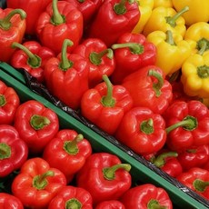 국내산 아삭아삭 파프리카 혼합 대용량 업소용 5kg 박스포함