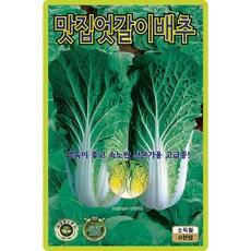 맛집엇갈이배추 씨앗 (6000립) 엇갈이배추 배추 얼갈이 종묘 종자 씨 영웅 KS, 1개 1개