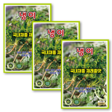 냉이씨앗 (5천립x3) 봄나물씨앗 냉이씨