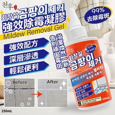 천후 香兒店 強效除霉凝膠 99% 去除霉斑, 1個