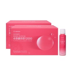 아르디엠 하이뷰티 원데이 프리미엄 슈퍼콜라겐 12000 56.6g 15p, 2박스, 15회분