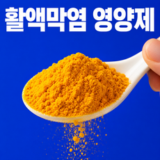 온맘담은 커큐민 활액막염 영양제 관절건강 연골보호 무릎건강 관절유연성 관절활동관리, 1개, 100g