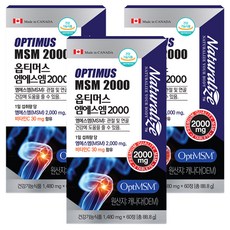 캐나다 옵티MSM 2000 OptiMSM 연골 관절 MSM 엠에스엠, 60정, 3개
