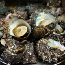 뿔소라 남해안 특상품 최고급별미, 1박스, A)뿔소라 1kg