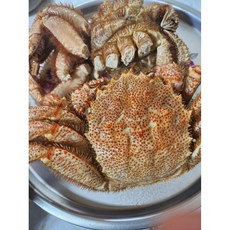 털게(러시아 헤어킹크랩) 1kg(1-2미) 수율80%내외/선동자숙, 1개