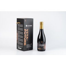 VITA-FUTURE 活力萊酵素 綜合酵素液, 1個, 750ml
