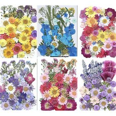 압화 누름꽃 압화공예, AET7