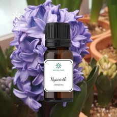 히야신스( Hyacinth F.O)프래그런스오일, 30ml, 1개