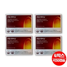 푸응 푸웅 푸잉 팻버닝 펫버닝 CLA 공액리놀렌산 공액리놀레산 홍화씨 유 기름 오일 과체중 성인 단기간 다이어트, 30정, 4박스