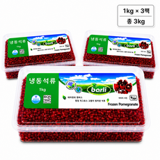 중동에서온 그린퍼시픽 냉동석류_수출국 아랍에미리트, 1개, 3kg