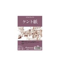 maruman製圖明信片30入 - 日本Maruman專業繪圖明信片，紙質優良，適合多種繪畫媒材，創作獨一無二的藝術作品, 1個, White
