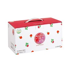 연두팜 NFC 착즙 사과비트즙 30개입 1박스 100ml, 3000ml, 1개, _