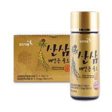 영진약품 산삼배양근 골드 홍삼 함유 프리미엄 활력 음료, 100개, 100ml