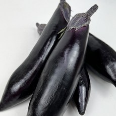 국내산 햇가지 생가지 제철가지 가지 가지볶음, 2개, 약250g