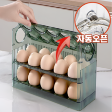 에너바인 자동오픈 냉장고 계란 트레이, 그린, 1개