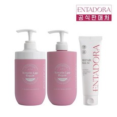 [엔타도라] 살롱 헤어케어 패키지 3종 (단백질 샴푸 750ml + 단백질 트리트먼트 750ml + 리페어밤 120ml 에센스), 1개, 1.62L
