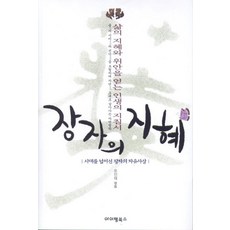 장자의 지혜:삶의 지혜와 위안을 얻는 인생의 지침서, 아이템북스, 장자 저/유인태 역