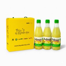 솔리몬 스퀴즈드 레몬즙 선물세트 500ml X 3병 NFC 레몬수 원액, 3개