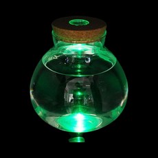 마리모 키우기 LED 코르크 유리병 (15x16cm) DK99