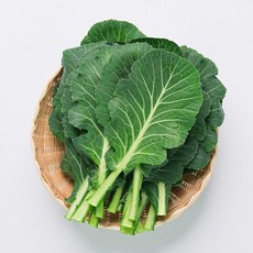 늘바른 국내산 친환경 무농약 쌈케일 100g 3봉, 3개