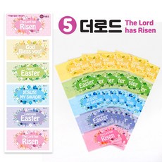 NEW 부활절 계란수축필름 달걀수축지 포장 부활절용품 6140, 1개, 5.더로드