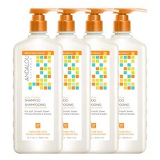 [안달로우] 아르간 오일 시어버터 대용량 샴푸 946ml 4개 + 수분 샴푸 50ml 여행용 키트 증정