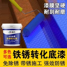 샤샤 녹제거제 녹제거방법 녹슨곳 녹제거용품 금속 부식제거, 블루, 1kg, 1개