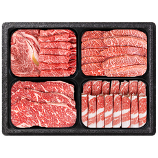 한우선물세트 소고기 갈비살 꽃등심 양지 채끝살 불고기 (주)성진한우, 프리미엄모둠세트1Kg(선물포장X), 1세트