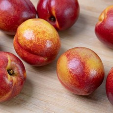 실패없는 천도복숭아 신선, [1kg] 천도복숭아, 1박스