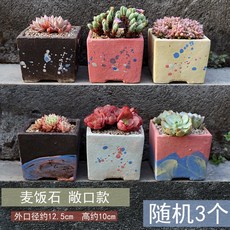 화분 사무실 미니 다육이 소형 분재, 맥반석 오픈형 랜덤 3종, 작다, 1개