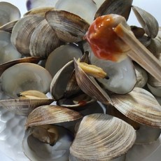 당일조업 백상합 조개 생물, 1박스, 1kg (25미 내외)