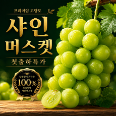 [100개 한정 오픈특가] 새콤달콤 국산 샤인머스켓 산지직송, 1박스, 500g (1수)