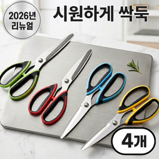 베르온 잘드는 다용도 가위 고기 생선 양손 스텐 가정용 업소용, 4개, 빨강,노랑,초록,파랑