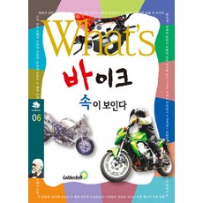 韓國 GoldenBell WHAT'S 摩托車 內部結構詳解, GB企劃中心
